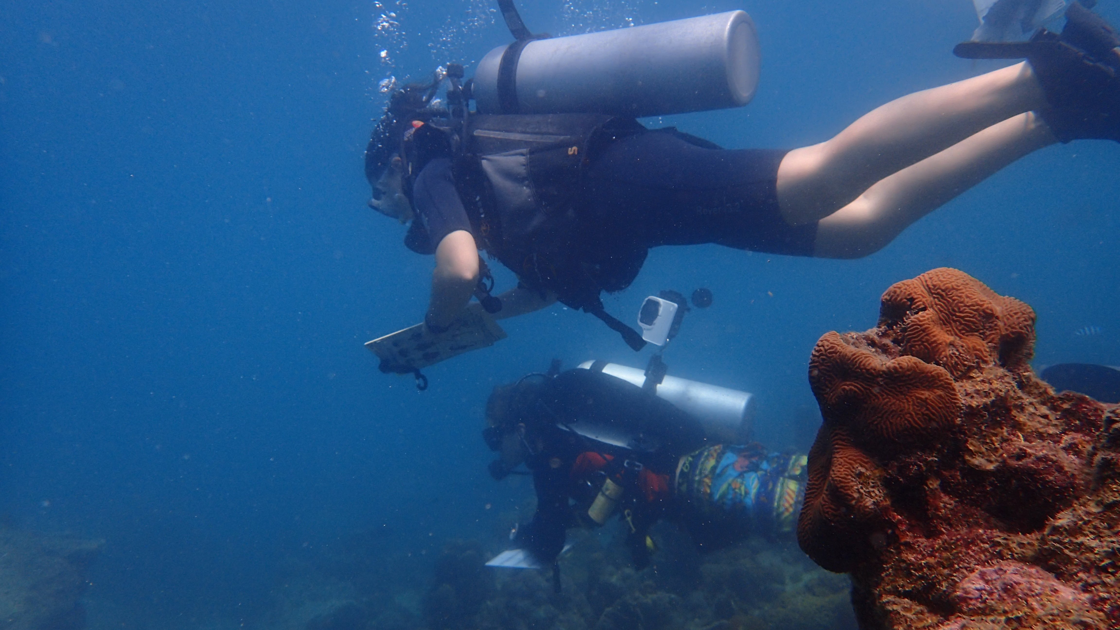 Students in scuba diving session