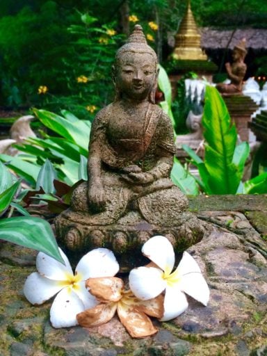 Buddha Garden