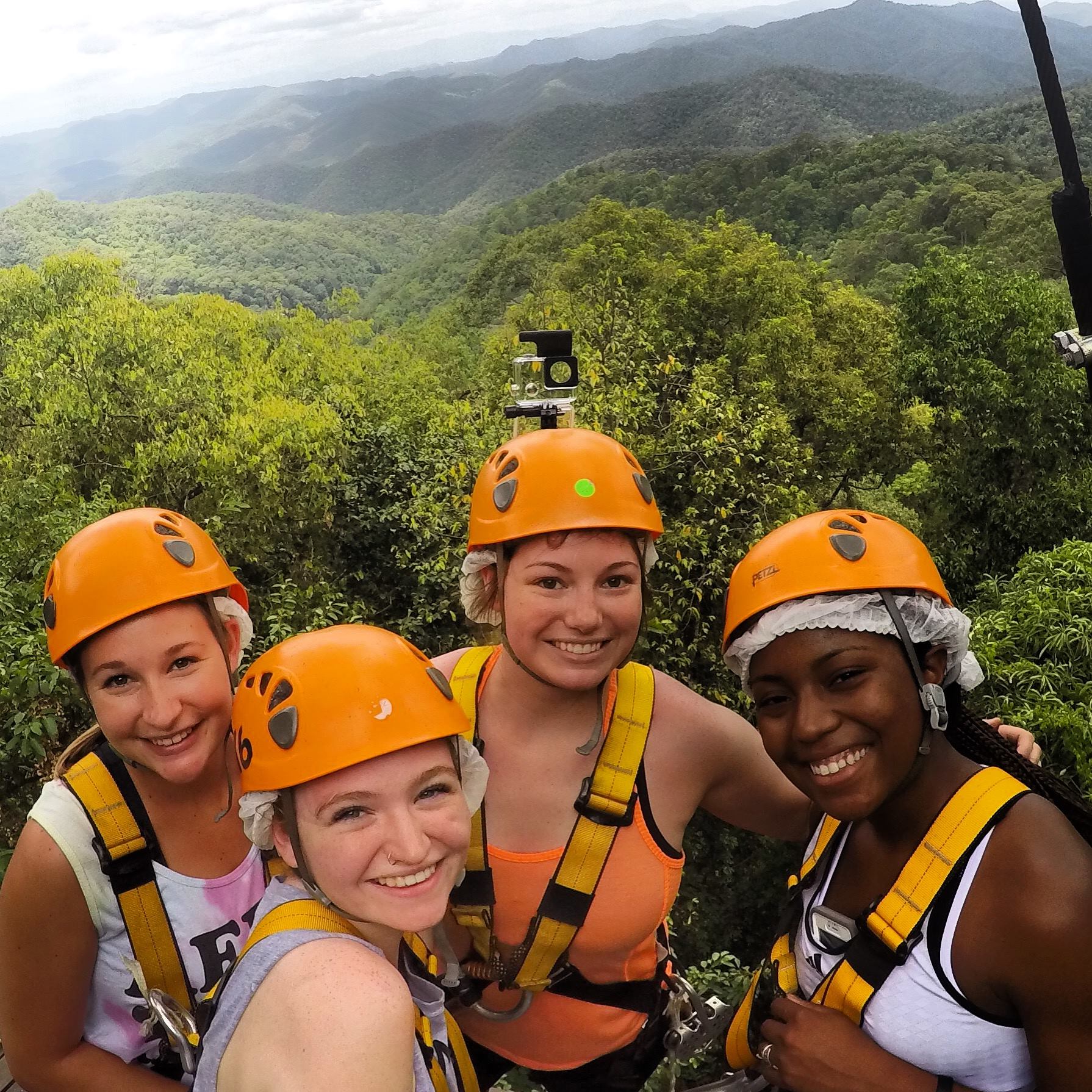 How Do I Take a Gap Semester? Loop Abroad Veterinary Study Abroad