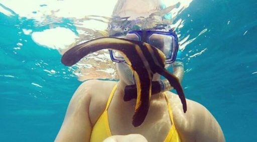 Loop Abroad student encountered a Teira batfish while snorkeling underwater