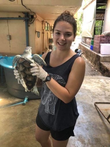 Loop Abroad pre vet student holding a sea turtle