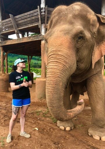 Loop Abroad student talking to adult elephant