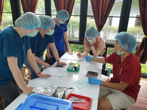 Student discussion with their instructor during college veterinary service program session.