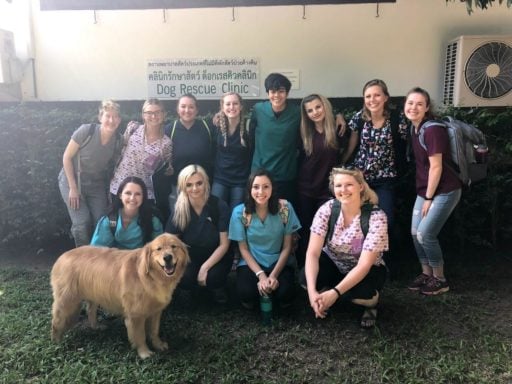 College veterinary service students at the Dog Rescue Clinic