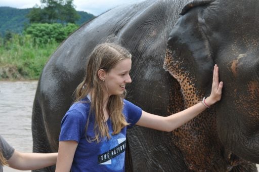 Loop Abroad student smiling while touching an elephant at Elephant Nature Park