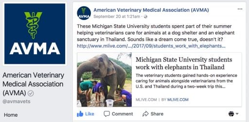 AVMA posts about Michigan State students on Loop Abroad trip to Thailand