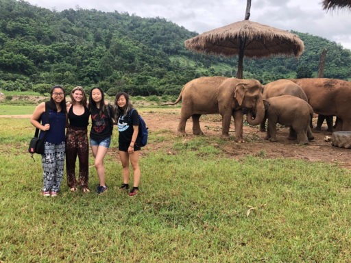 Student group in Elephant nature park