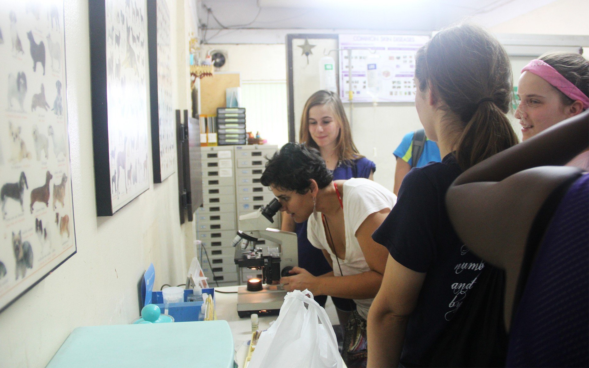 Students in the clinic