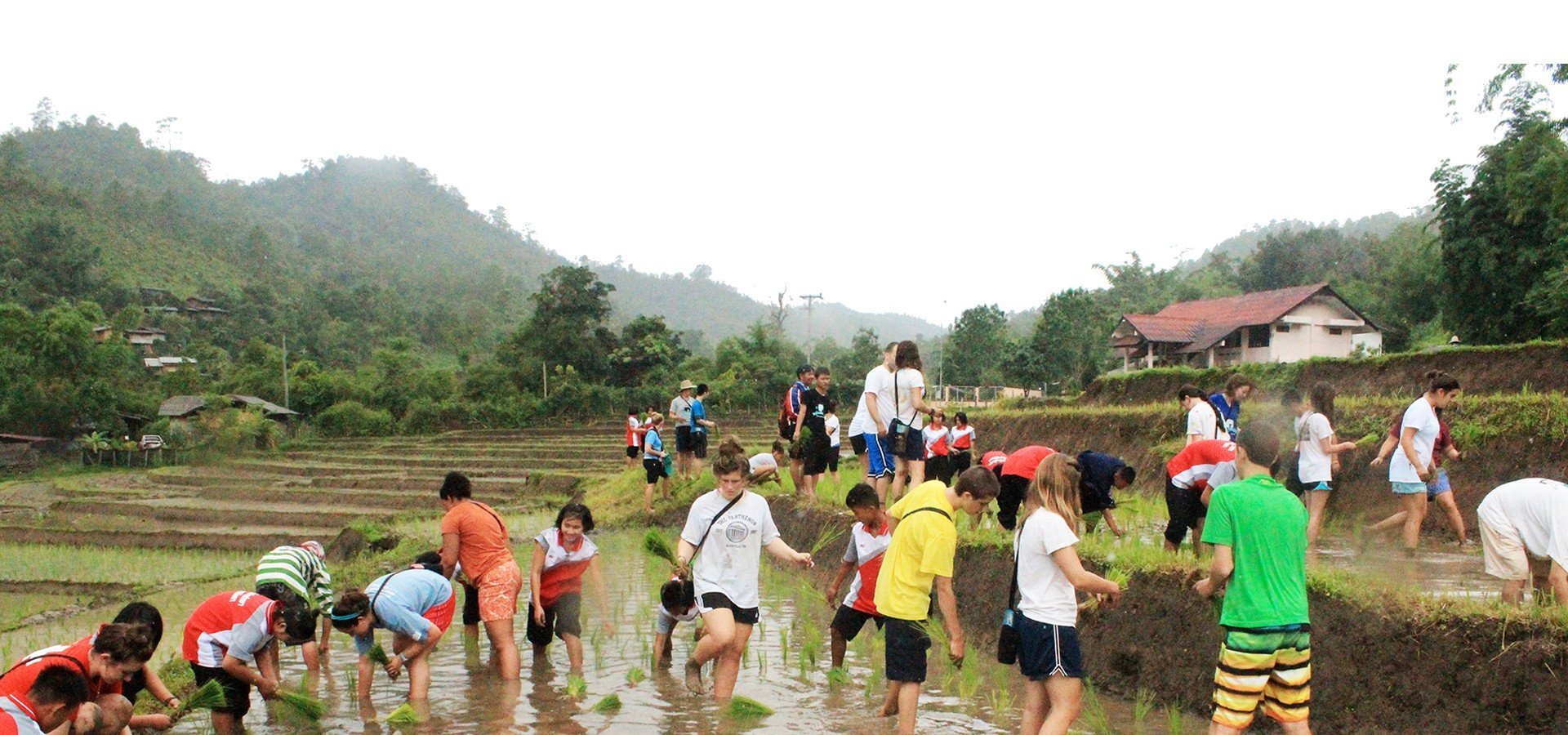 Students in the field