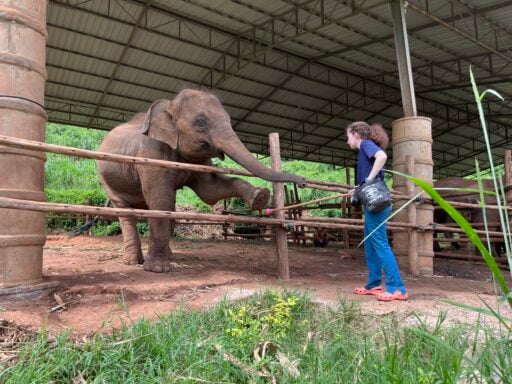 Student training elephant using a pole