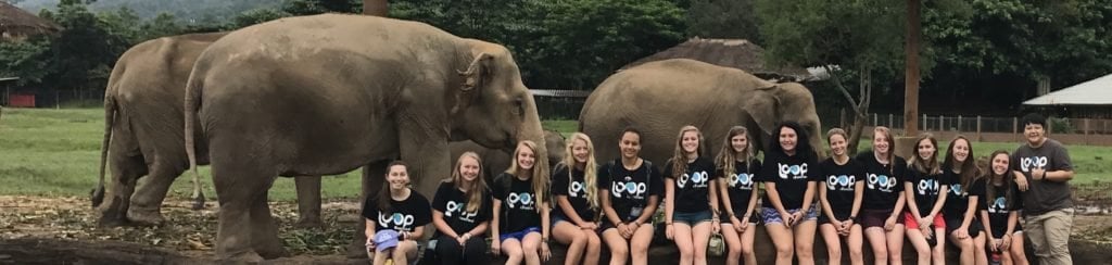 Group of students in front of a herd of elephants