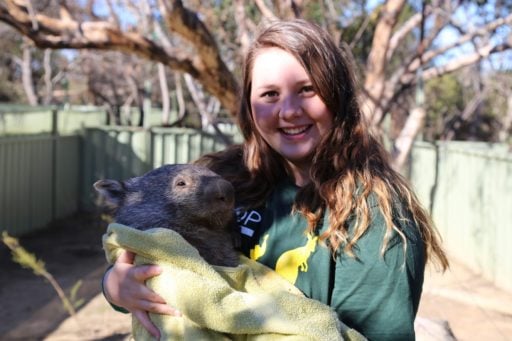 Loop Abroad student holding a wombat in her hands
