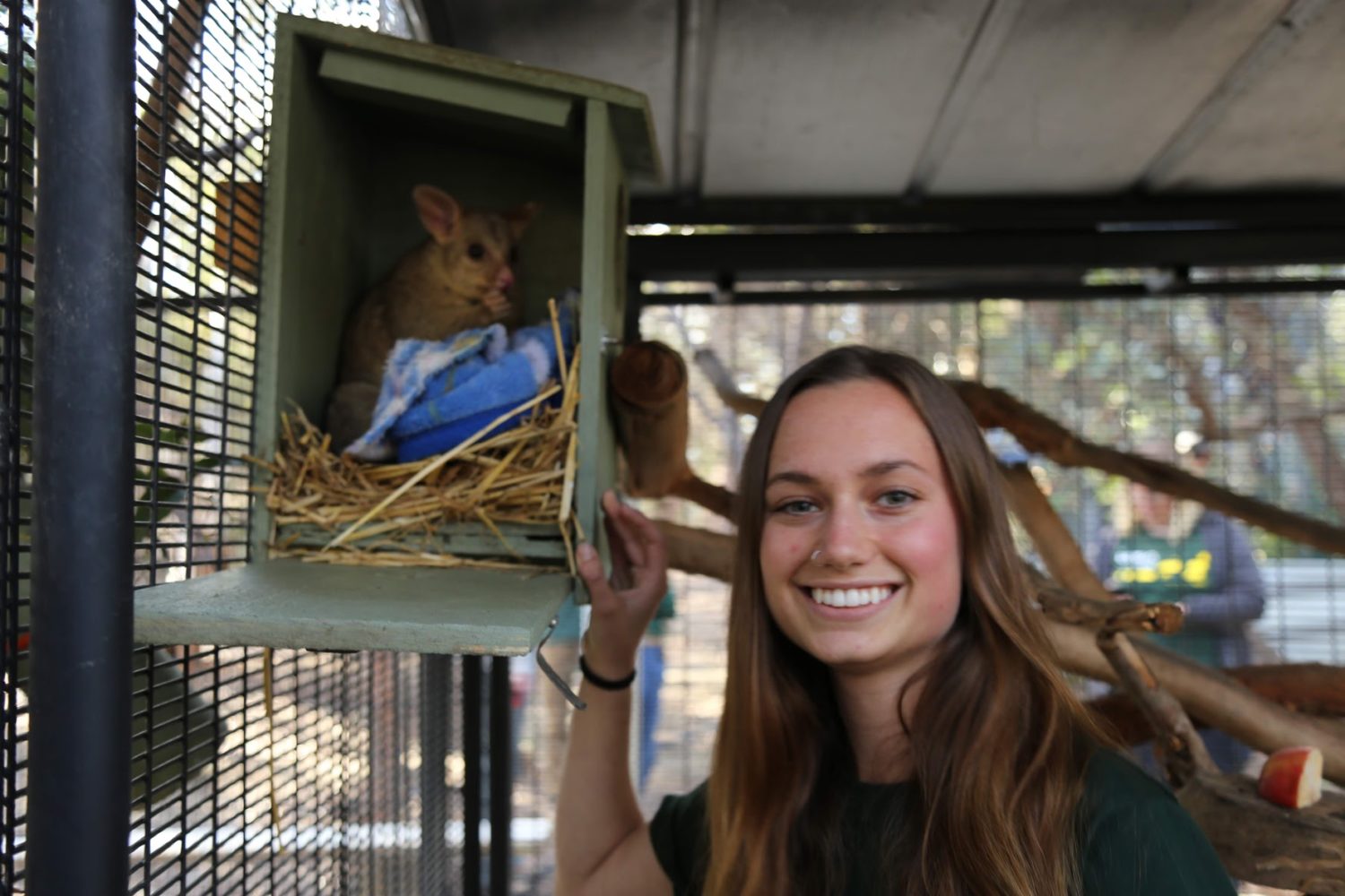 High School Veterinary Service Australia Loop Abroad Veterinary Study Abroad