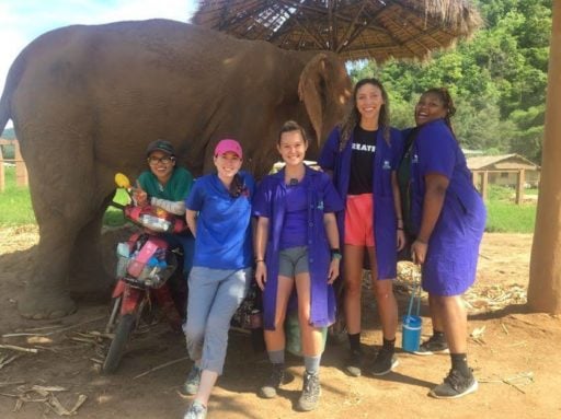 Loop Abroad Vet students pose with the elephant.