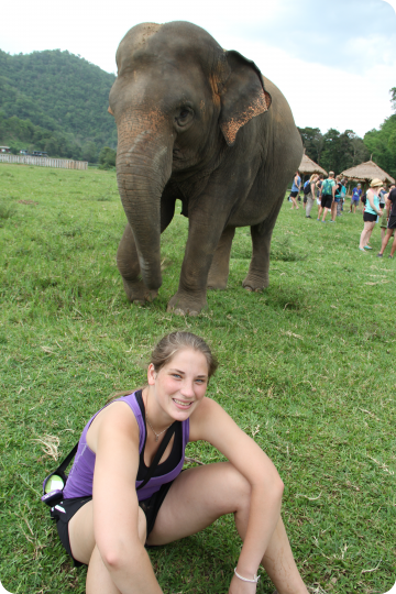 loop students with elephant