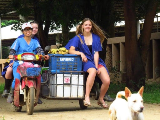 Loop Abroad Students at Elephant Nature Park