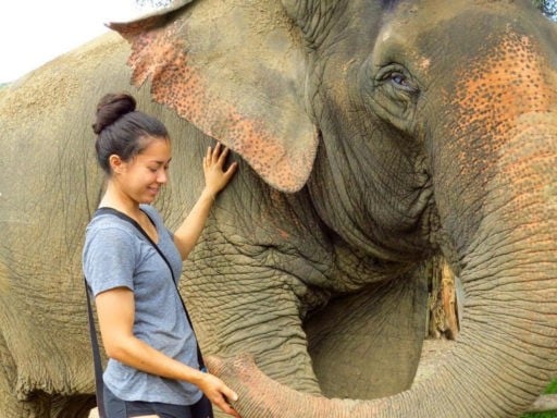 Student allowed by the Elephant to hold her trunk