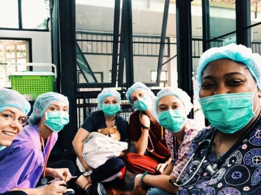 On our Veterinary Service programs in Thailand, students learn and practice clinical skills.