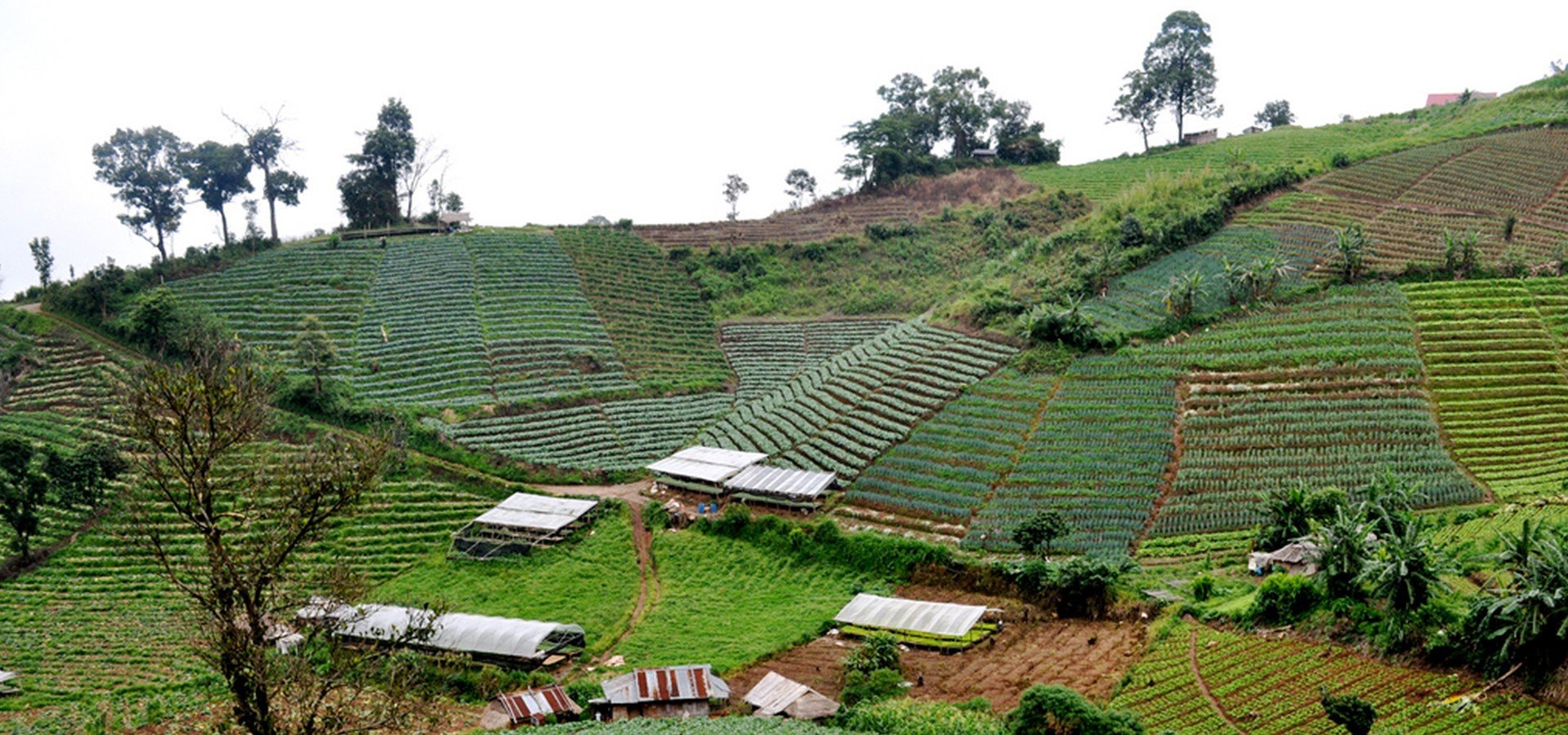 Students in the field