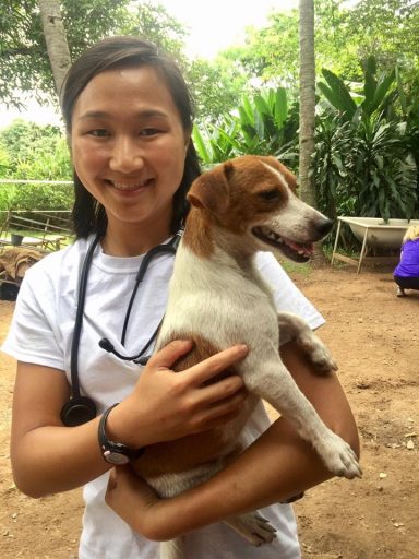 vet student dog
