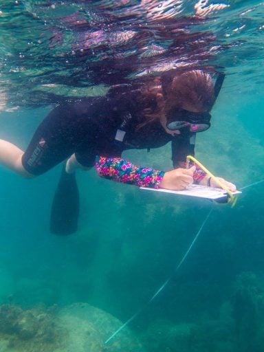 Taking notes while diving