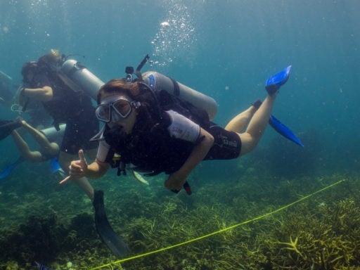 Loop Abroad students on there SCUBA diving session.