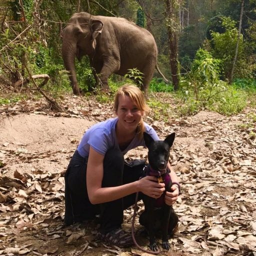 Dr. Erica Ward holding a black dog and an elephant at the background and an elephant dog