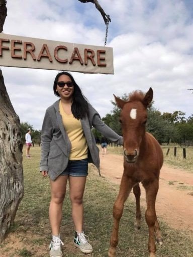 Loop Student with Pony
