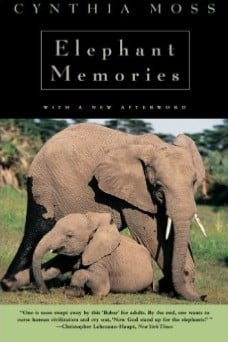 Elephant Memories