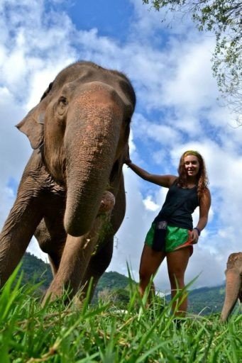 Loop Student With Elephant