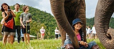 Lek Chailert Elephant Nature Park