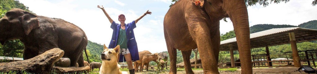 Student with elephants, buffalos, and dogs