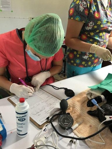 student taking notes on anesthesia during surgery