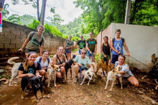 Group of students and dogs