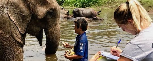 Student taking notes on elephant health