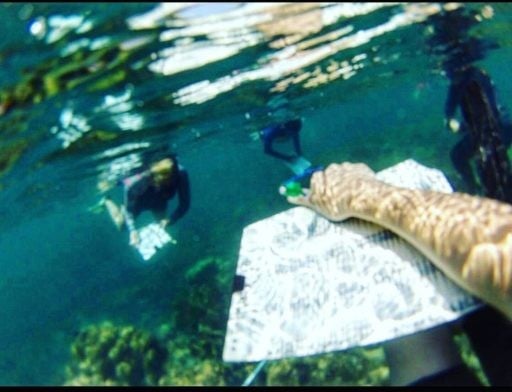 Student carrying dive slate while SCUBA diving