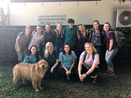 A group of Loop Abroad students at the Dog clinic