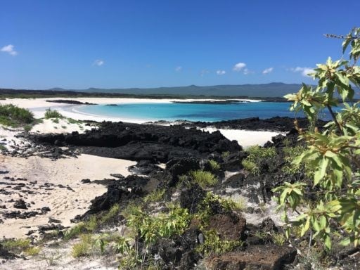 Playa Cerro Brujo in Galapagos Island