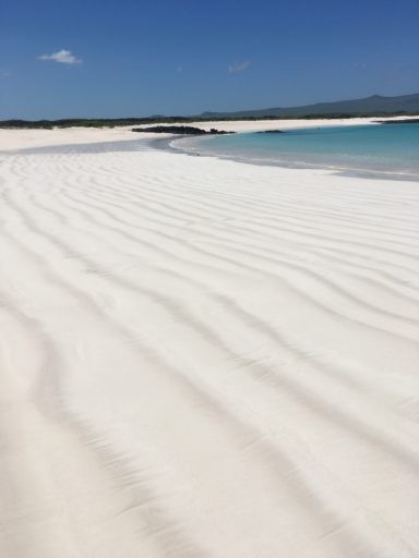 Playa Cerro Brujo in Galapagos Island