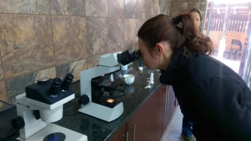 Loop Abroad pre vet student conduct examination using microscope.