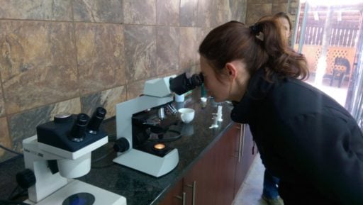 Loop Abroad student looking on a stethoscope