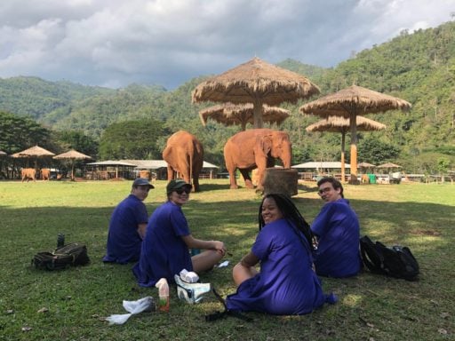 Loop Abroad students at the Elephant Nature Park