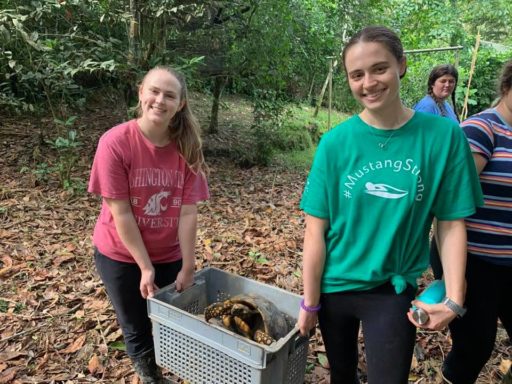 Loop Abroad students lifting a basket with a sea turtle inside