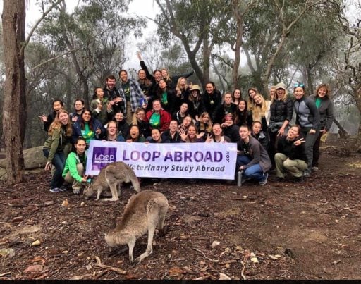 Loop Abroad students group picture