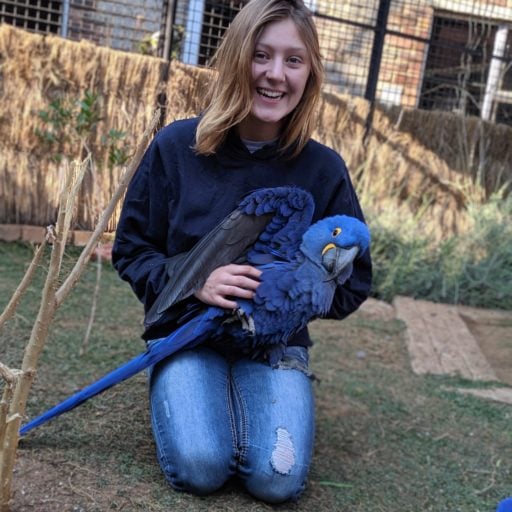 Young lady holding a blue parrot