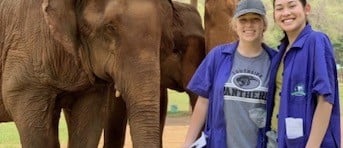 Screen Shot 2019-09-06 at 3.20.19 PM