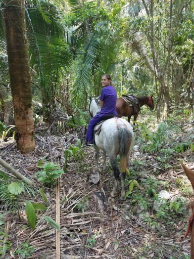 Loop Abroad student riding on white horse following a brown horse in the woods