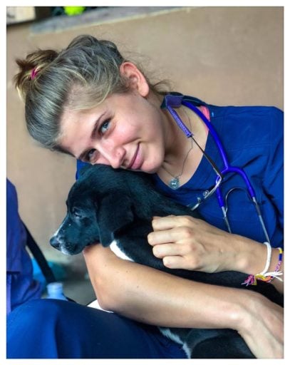 Happy vet doctor holding a borador dog