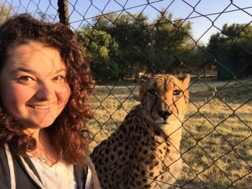 Jen Colangelo with a cheetah in South Africa. Jen attended Becker College, a Loop Abroad Institution. She's now in vet school at University of California-Davis.