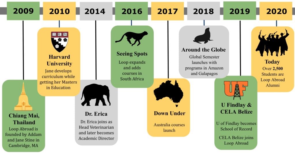 Infographic timeline